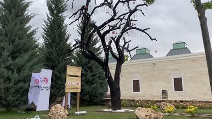 Kırşehirli 193 şehidin ismi "Şehitler Ağacı"nda yaşatılacak