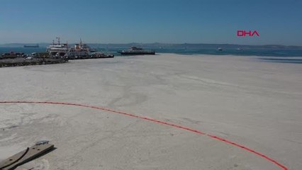 YALOVA YALOVA'DA, DENİZDEN 1 GÜNDE 170 METREKÜP MÜSİLAJ TEMİZLENDİ