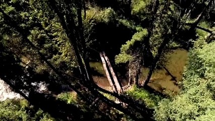 22221 Old Mill Road | Bigfork, Montana