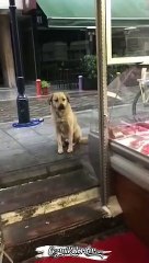 Düzenli müşterisini boş göndermeyen güzel yürekli kasap