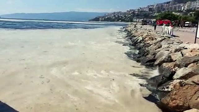 Müsilaj yeniden Gemlik Körfezi'nde