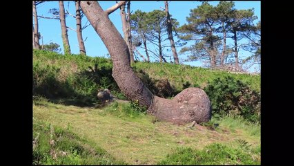 Rando Pointe de DINAN 10km-1juin202