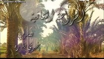 مسلسل الزوجه الثانيه 8 الثامنه كامله اون لاين - aflamk.org