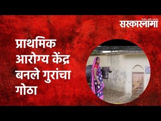 प्राथमिक आरोग्य केंद्र बनले गुरांचा गोठा  | Sarkarnama | Bihar