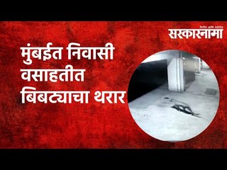 मुंबईत निवासी वसाहतीत बिबट्याचा थरार | Sarakarnama | Mumbai