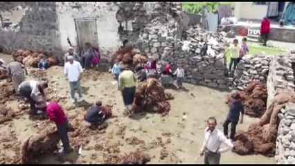 Besicilerin zorlu koyun kırkma mesaisi başladı