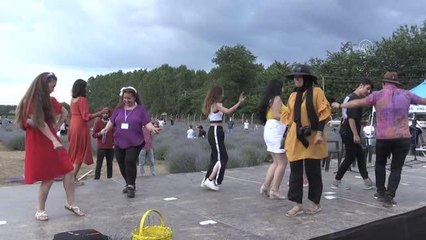 4. Lavanta Tarla Günleri ikinci gün etkinlikleriyle devam ediyor (3)