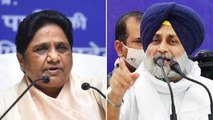 Akali Dal, Mayawati's party form alliance ahead of Punjab Assembly polls