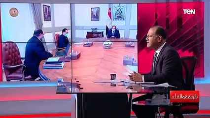 الاهتمام بالثروة الحيوانية وتطوير محطة الزهراء للخيول.. اعرف توجيهات الرئيس السيسي للحكومة