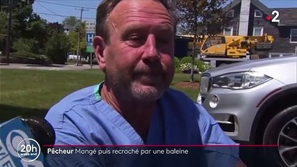 Insolite : un pêcheur américain avalé par une baleine