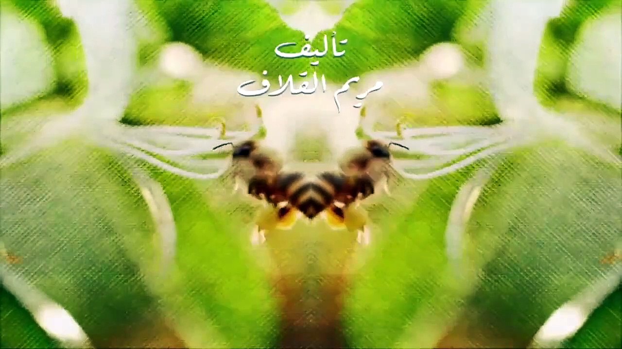 مسلسل نبض مؤقت الحلقة 23 الثالثة والعشرون
