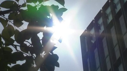 [날씨] 휴일 더위 속 남부 소나기...'단오'에도 불볕더위 / YTN