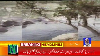Millions of rupees worth of buffaloes killed by electric shock due to  WAPDA