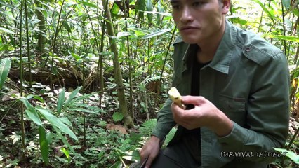How to make Fire from dry Bamboos, Survival in the tropical Rainforest, ep 1