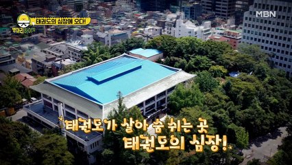 병아리 노란띠를 향한 출격! 가자! 태권도의 본부로!