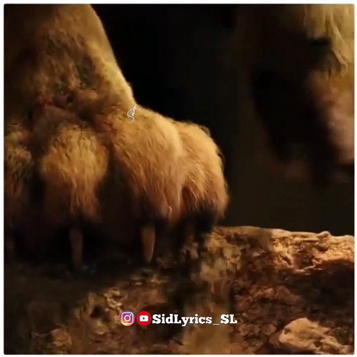 Boys Attitude Status _ Attitude Status_ Hollywood Whatsapp Status _ Sidlyrics SL