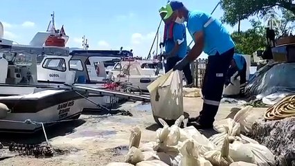 Bakan Kurum: "Marmara Denizi'mizde bütün belediyelerimizle müsilaj temizliğine aralıksız devam ediyoruz"