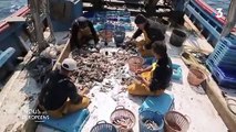 Espagne : des pêcheurs ramassent les déchets en plastique qui mettraient des siècles à disparaître sans leur action collective