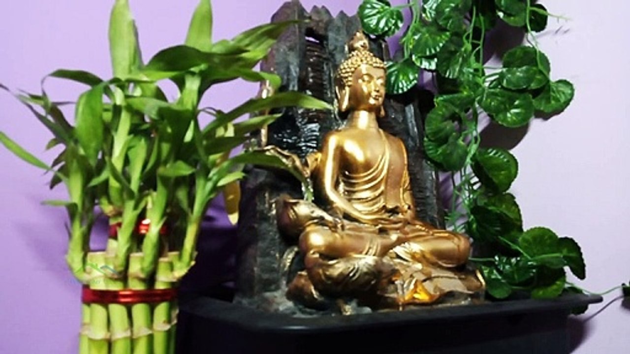 How To Maintain Lucky Bamboo|எப்படி Lucky Bamboo Plant ஐ பராமரிப்பது|Maintain Lucky Bamboo In Tamil