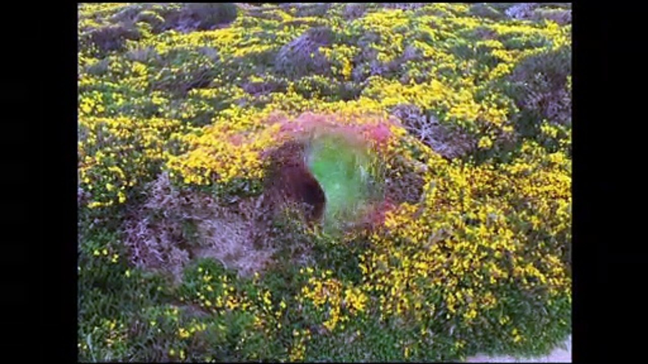 Ballade pointe du RAZ-12km-2 juin 2021
