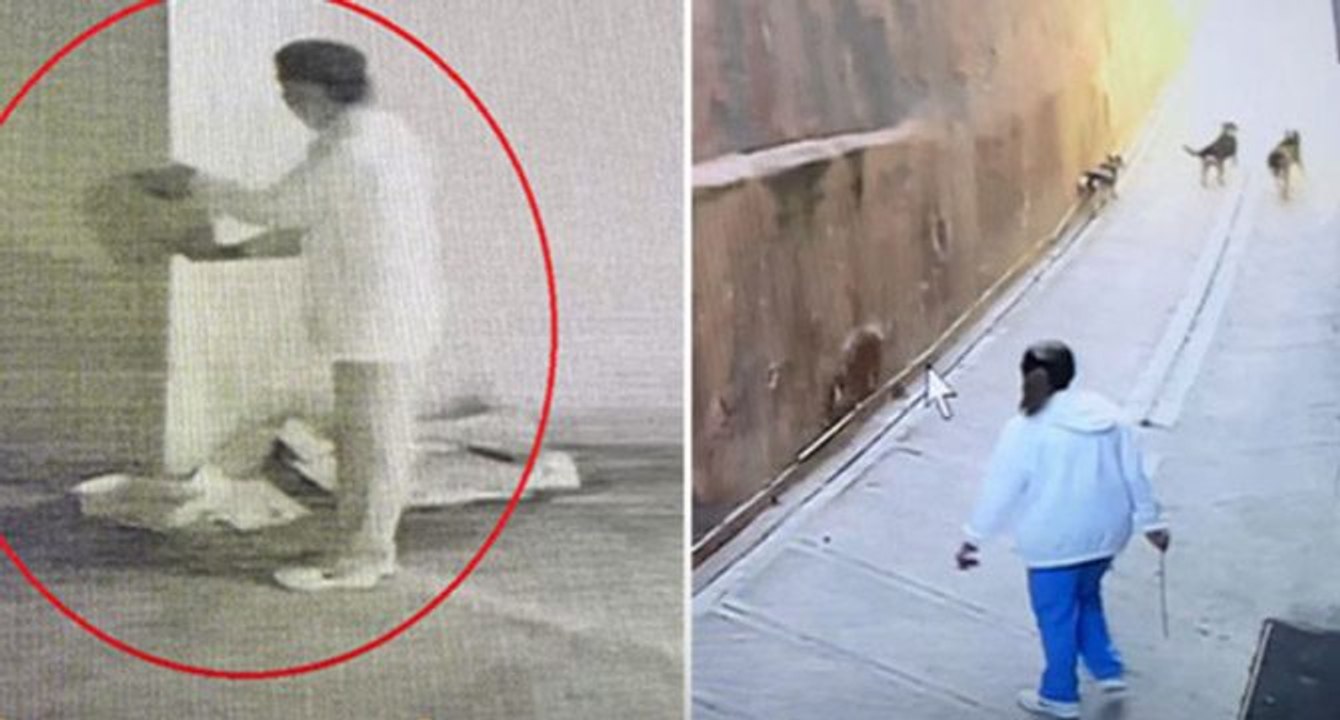 Öğretim görevlisinin bu görüntüleri büyük tepki çekmişti! Harekete geçildi