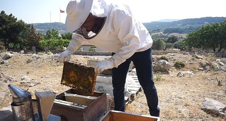 Arıcılık sektörünü kuraklık vurdu