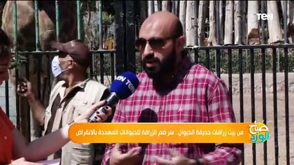 كل ما تريد معرفته عن الزرافة "سوسن" وحالتها النفسية بعد وفاة زوجها