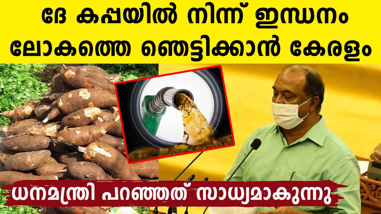 പെട്രോൾ വിലവർധനവിന്റെ കാലത്ത് കപ്പയിൽനിന്നും ഇന്ധനവുമായി കേരളം