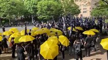 Manifestation à Tokyo pour le 2e anniversaire du mouvement pro-démocratie de Hong Kong