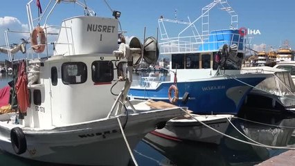 Marmara'daki müsilajdan kaçan çinekop Sinop'ta tutuldu