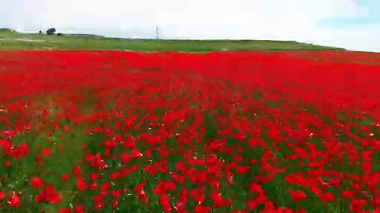 Dream life | relaxing music | peaceful music | calm music | romantic music | peace of mind | calm your mind | relax your mind and body | dreamy | bedtime music | sleep music | sleep and rest | relax music | dreaming | fall asleep | love by Rest In Peace