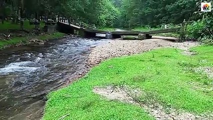 Small River at Keralas Village-केरलस गांव में छोटी नदी-கேரள கிராமத்தில் சிறிய நதி