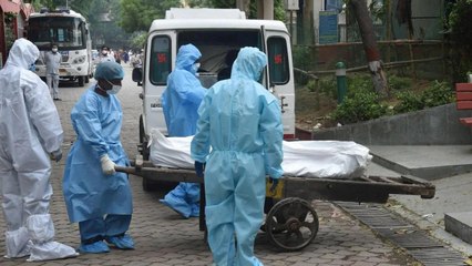 Dangal: Huge rigging in the figures of deaths from Corona!