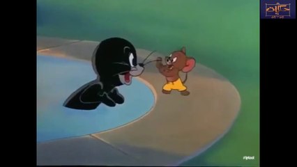 توم و جيري | tom and jery |  مدبلج بالعربي
