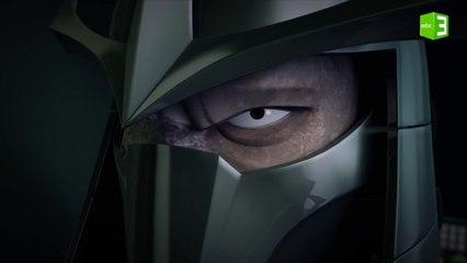 شريدر يتوعد السلاحف والسبب..