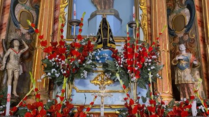 11º Domingo do Tempo Comum: O Reino