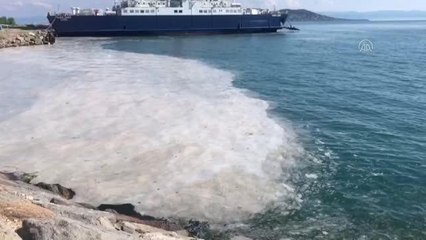 Anadolu Yakası'nda müsilaj birikmeleri görülmeye devam ediyor