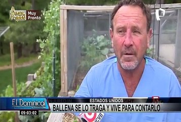 Increíble historia de pescador: ballena se lo traga y vive para contarlo