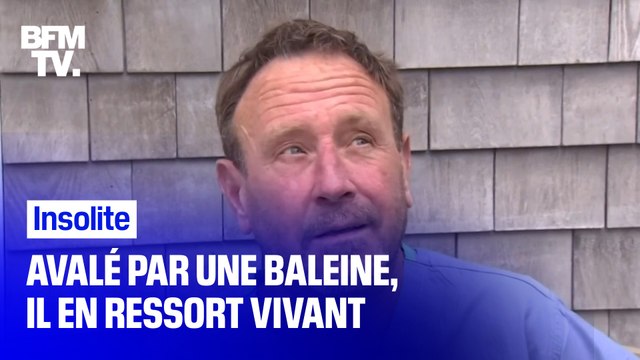 Avalé par une baleine, ce pêcheur-plongeur en est ressorti vivant