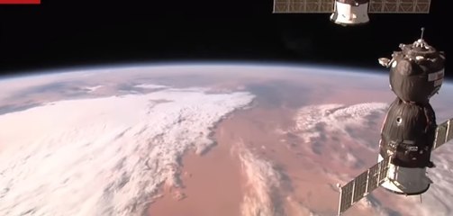 Makhluk lain yang bisa bertahan hidup di luar angkasa