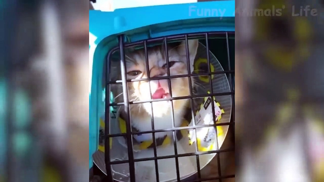 Must Watch New Funny Video 2021: Funny College Pranks | Funny Students Pranks On Teacher By T-Studio