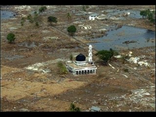 Les miracles de la vie