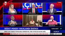 Canlı yayında Sedat Peker ile ilgili dikkat çeken iddialar