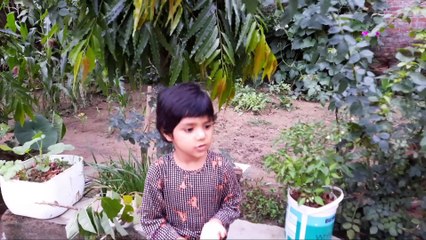 How to Re use of  waste  Material/Best use of waste Plastic containers