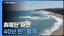 최북단 해변 40년 만에 '활짝'...동해안 철책 속속 철거 / YTN