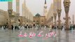Beautiful Naat WhatsApp Status Video - Ya Nabi Salam Alayka - Lyrical Video - Islamic Status
