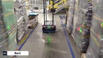Bert - Amazon robot