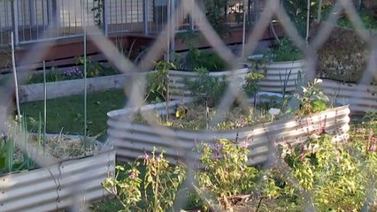 Brisbane school helping students with mental health needs