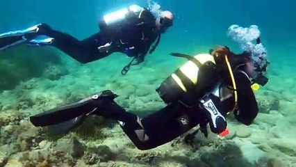 İZMİR - Dokuz Eylül Üniversitesi öğrencileri Kleopatra Koyu'nu dip bucak temizledi
