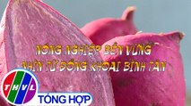 Nông nghiệp bền vững: Nông nghiệp bền vững nhìn từ đồng khoai Bình Tân